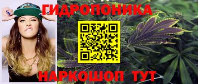 герыч Можга