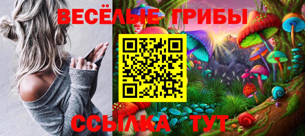 Строитель  Псилоцибиновые грибы Psilocybe  Вход с VPN 